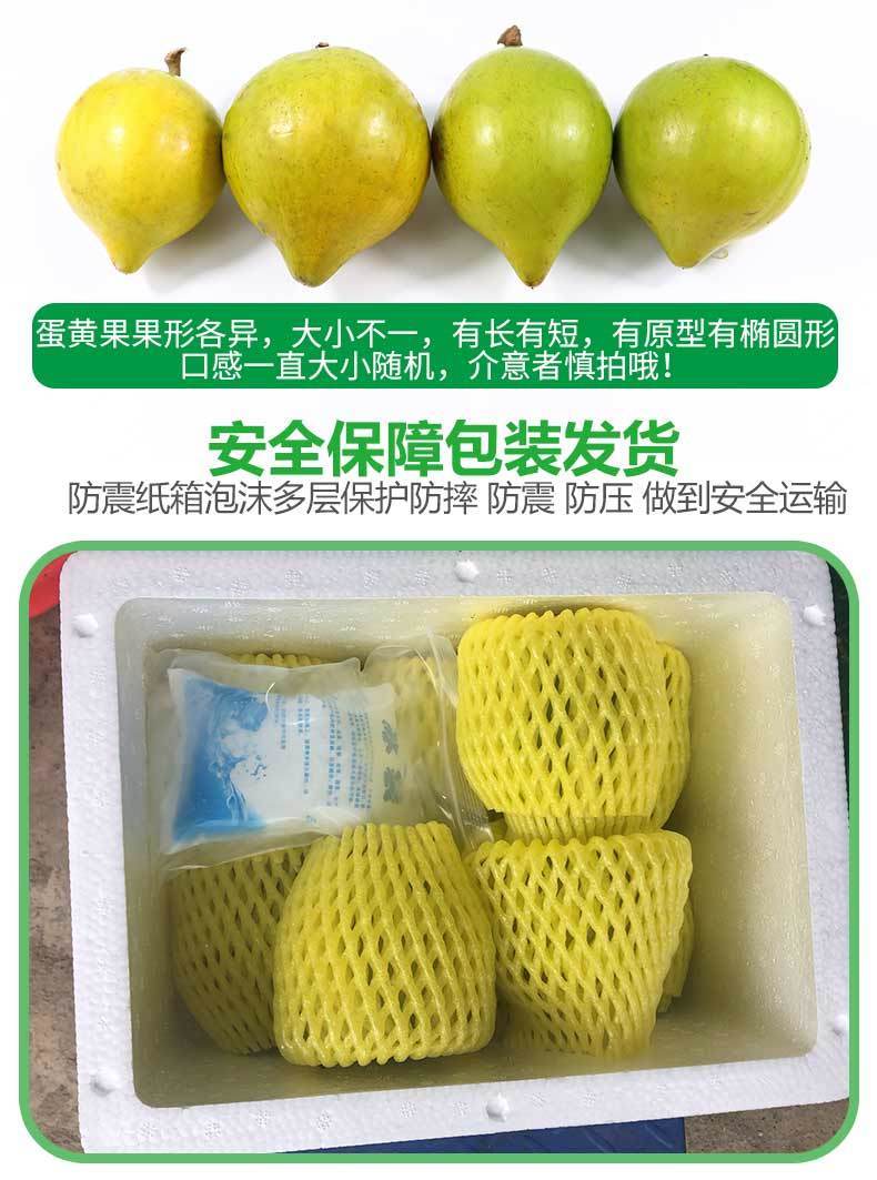 蛋黄果新鲜海南鸡蛋果5斤应季罕见的水果当季特产整箱批发