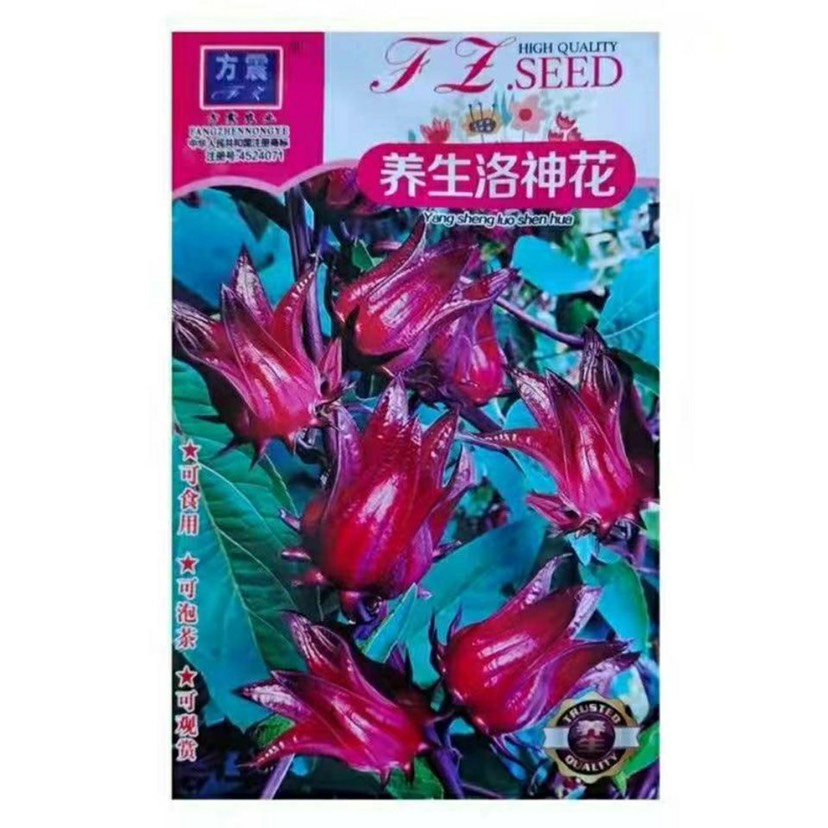 邵东市四季红桃K种子春冬季玫瑰茄新洛神花景观食用花草茶易种盆栽花卉
