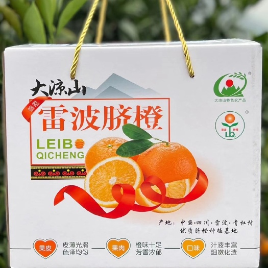 成都雷波脐橙一件代发