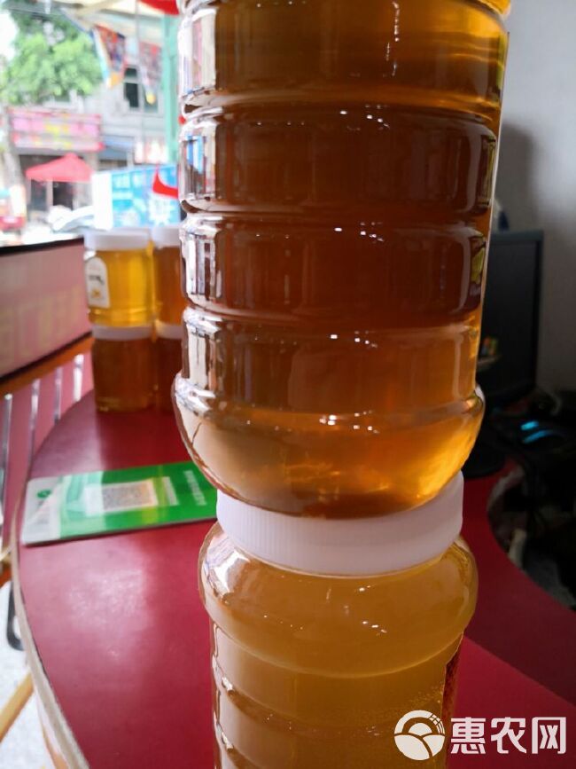 供应土蜂蜜枇杷蜜一级瓶装枇杷蜜蜂蜜