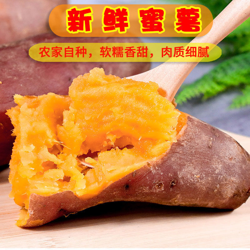 西瓜红303