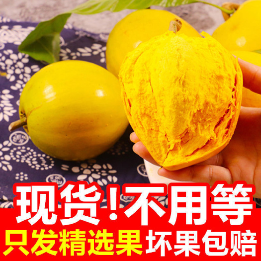 蛋黄果新鲜海南鸡蛋果5斤应季罕见的水果当季特产整箱批发