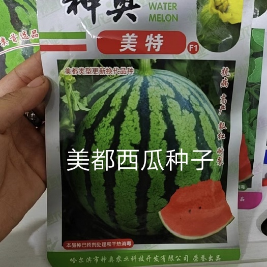美特美都西瓜种子32天成熟大果型皮薄口感好产量高多茬采收