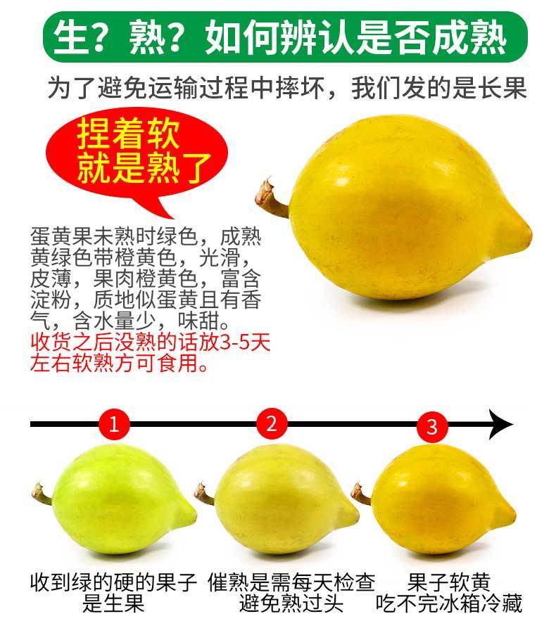 蛋黄果新鲜海南鸡蛋果5斤应季罕见的水果当季特产整箱批发
