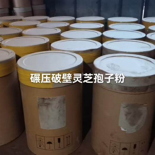 通化县灵芝孢子粉 长白山灵芝孢子粉头道孢子粉灵芝粉  一手货源
