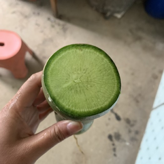 商水县水果萝卜