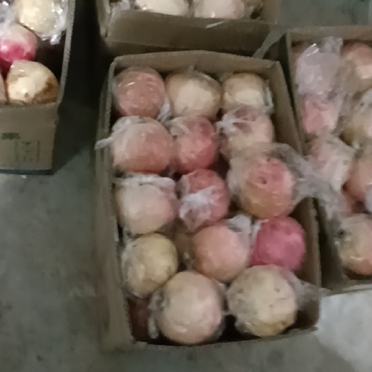 襄樊陕西临潼石榴