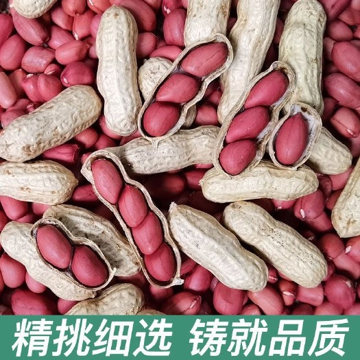 【四粒红皮花生】颗粒饱满口感香酥儿时记忆中的味道【全场包邮】