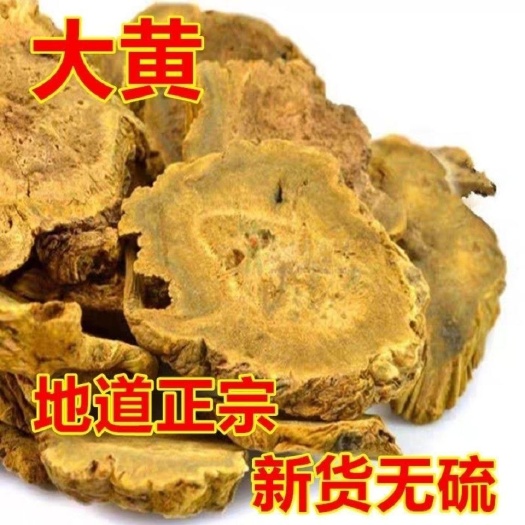 亳州大黄 大黄  中药材批发大黄 规格齐全 无硫