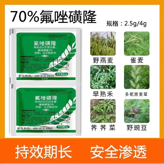 郑州70%氟唑磺隆小麦田除雀麦看麦娘等尖叶杂草包邮