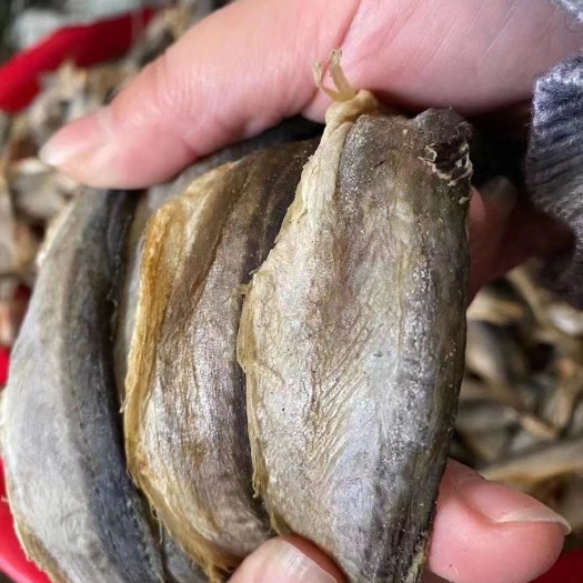 成都深海小龙鱼干