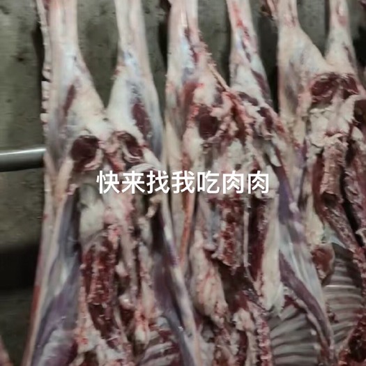 长宁县每天鲜羊肉，整只29  10斤32