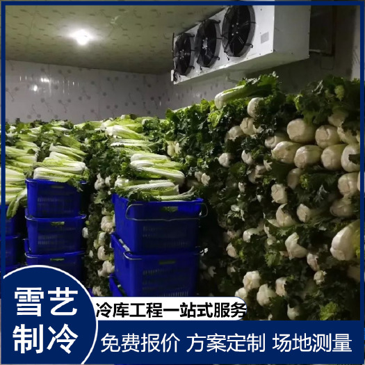 上海冷库设计安装果蔬保鲜冷库气调冷库