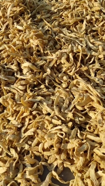 素豆鱼，豆制品，绿色食品，营养健康，食用方便。