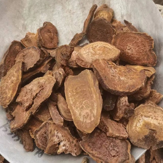 亳州西大黄 【甘肃马蹄大黄】正品无硫大黄 唐古特大黄