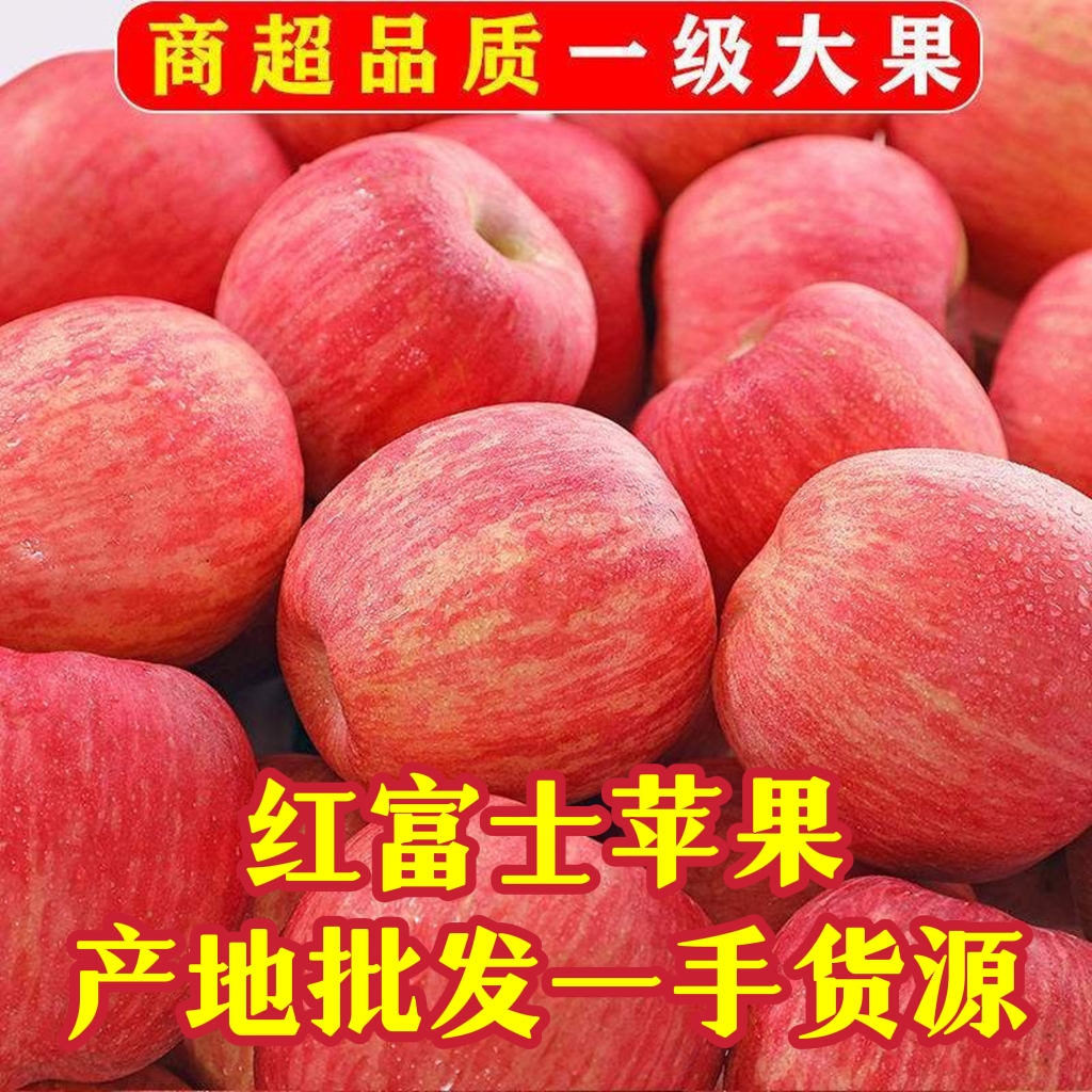 蒙阴县常年供应红富士苹果 口感脆甜 一手货源 产地直发