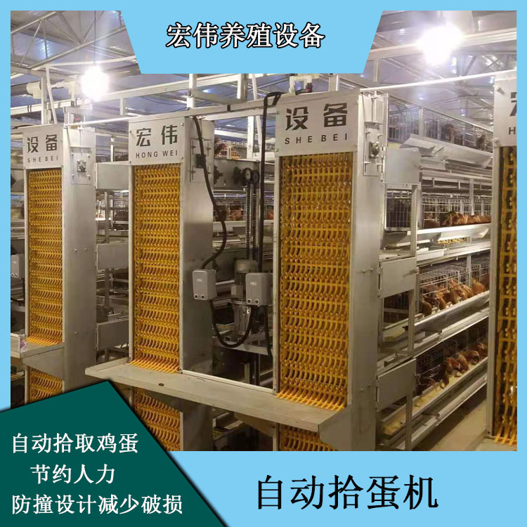 荥阳市养鸡场自动捡蛋机 厂家原产地发货自动化捡蛋系统