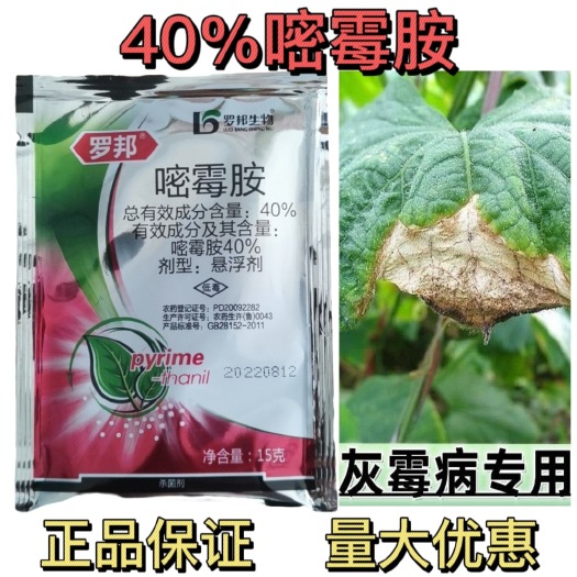 临沂40%嘧霉胺葡萄番茄黄瓜灰霉病农药杀菌剂农药灰霉病专用杀菌剂