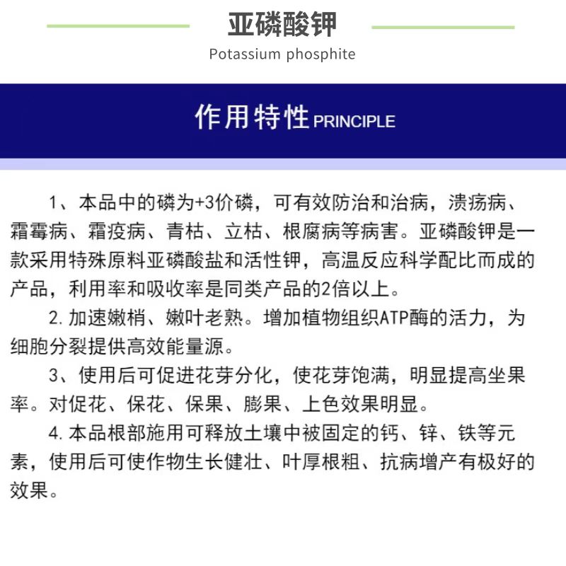 亚磷酸钾叶面肥水溶肥控梢膨果控旺徒长磷钾肥防溃疡抗病柑橘果树