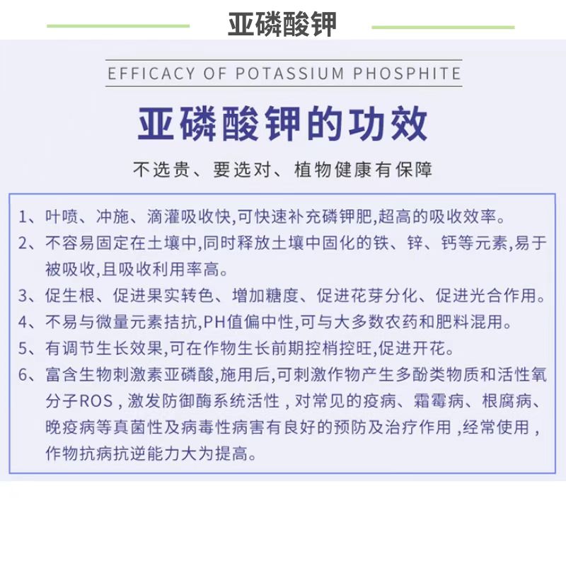 亚磷酸钾叶面肥水溶肥控梢膨果控旺徒长磷钾肥防溃疡抗病柑橘果树