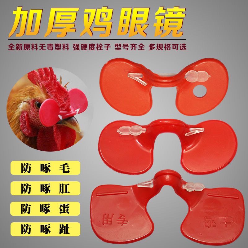 广州加厚材质鸡眼镜 批发 防啄鸡眼镜 无栓眼镜 带孔防