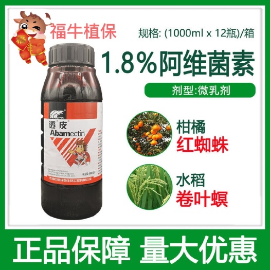 宁阳县透皮1.8%阿维菌素柑橘红蜘蛛农药杀虫剂