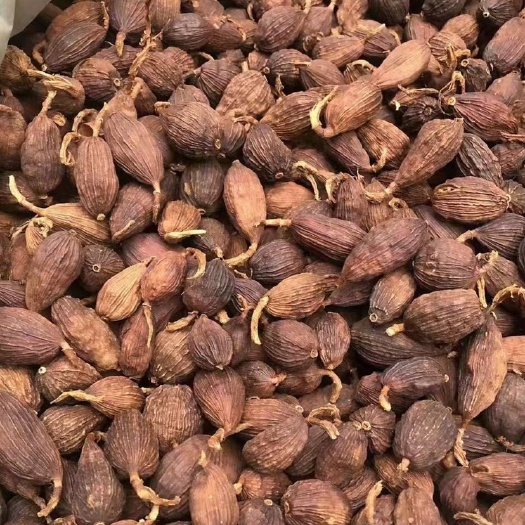 现货批发云南大个头草果仁碳烤草果无烟电烤草果红草果