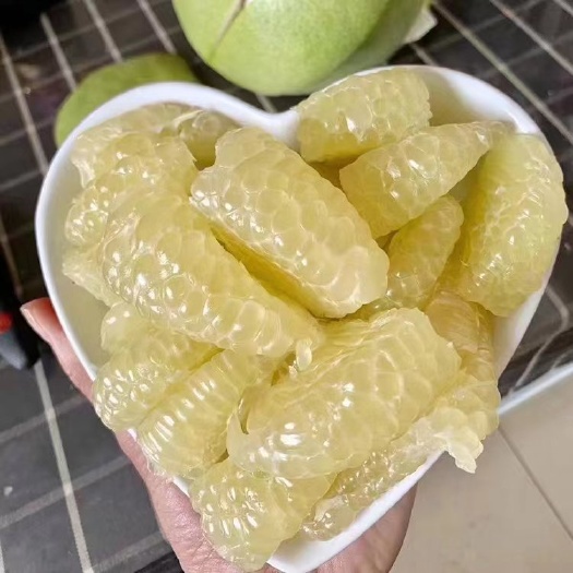 平和县泰国蜂蜜香青柚苗，泰国考雅蜂蜜柚苗，泰国青柚苗