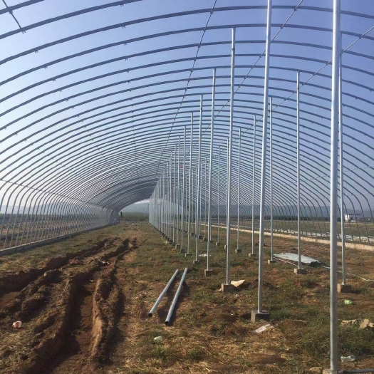德州全国设计安装各种大棚塑料棚，轻钢骨架