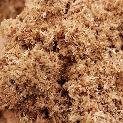 优质杨木锯末，自然水分，适合养殖场，菌菇厂等厂用