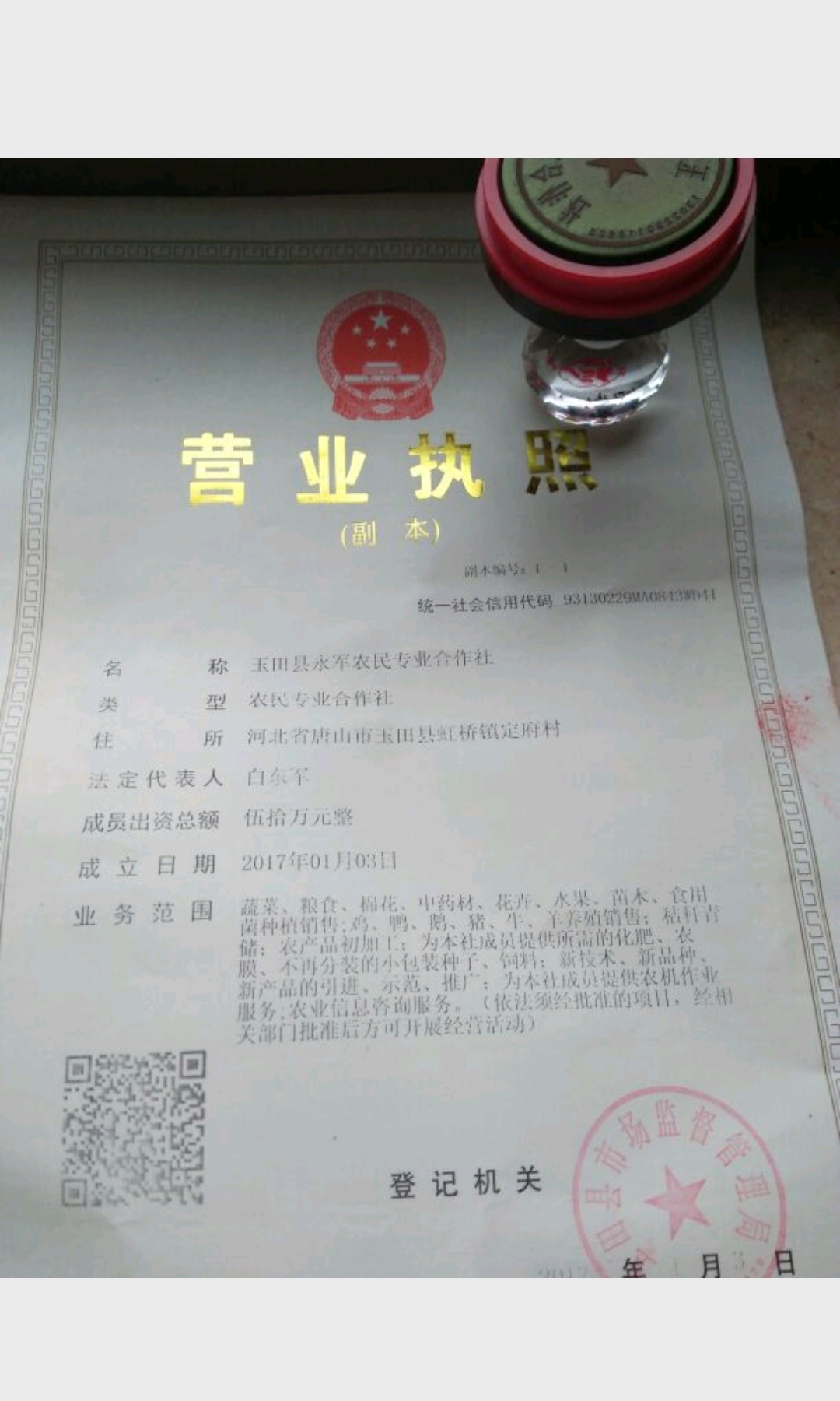 酱白菜酱芥菜头鲜嫩可囗，色泽美观。厂家直发保质保量。