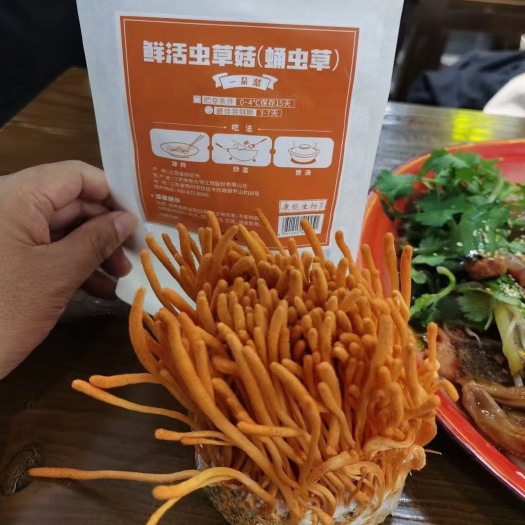 鲜活虫草菇，一件代发，全国包邮