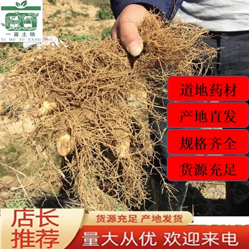 隆回县湖南玉竹种茎预定中 管理简单 亩产12000斤