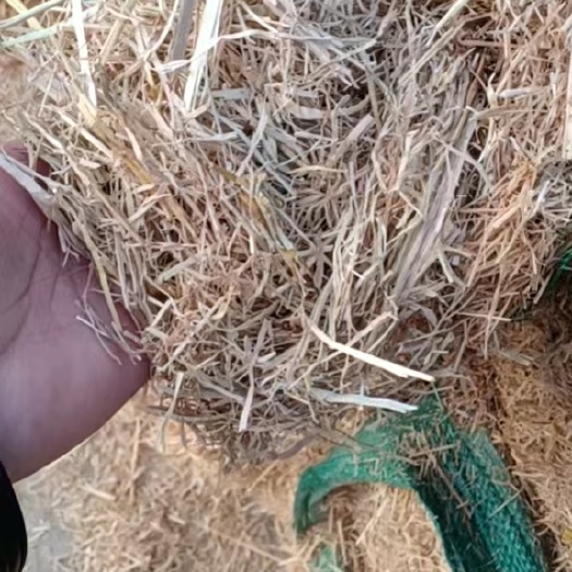 广安稻草，牛草柔丝小方包