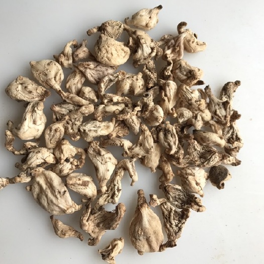 白及 云南白及 乌龟白及 产地一手货源 产地直销