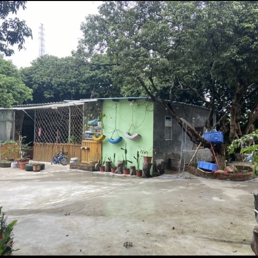 东莞市东莞市清溪镇果园出售 4亩 大马路边 ，一个地下室，一个喝茶