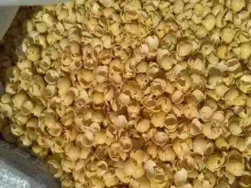 聊城豆壳