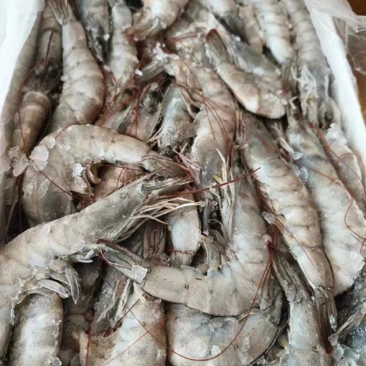 烟台山东烟台对虾