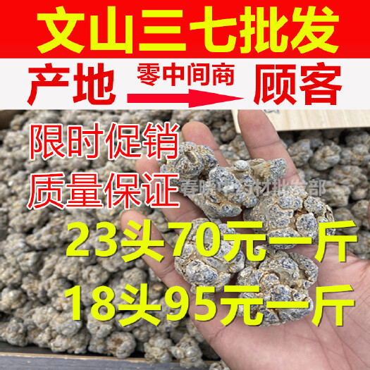 云南文山三七产地直销批发水洗干净田七各种规格齐全