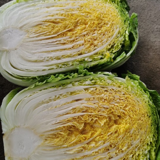 海安市白菜