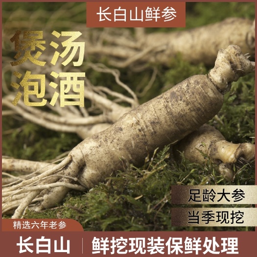 通化县长白山新鲜人参产地保鲜发货