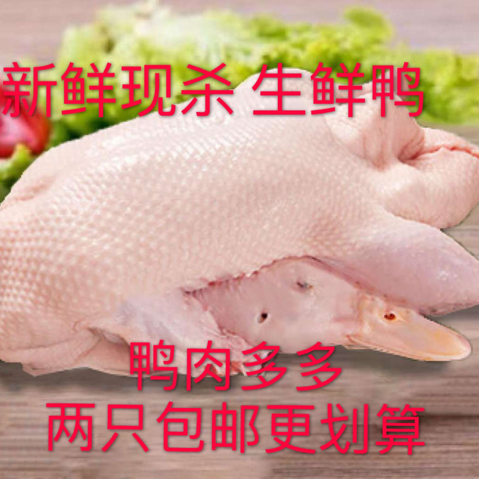 鸭子农家散养土鸭鸭肉嫩鸭草鸭白条鸭麻鸭现杀生鲜鸭子