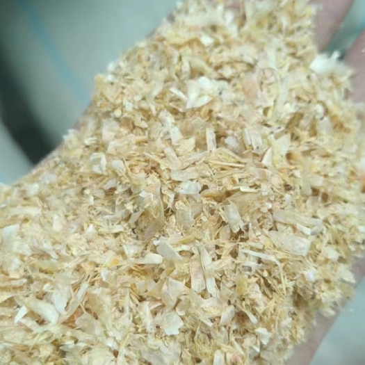 石家庄玉米白皮  河北发货牛羊使用，质量保证