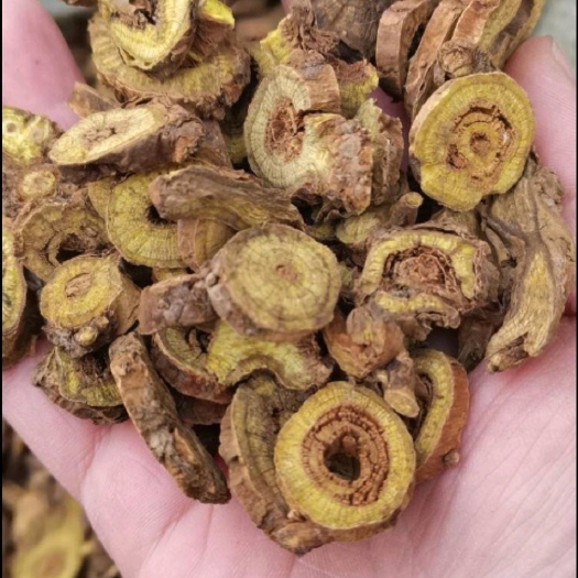 黄芩 黄芩片 正品黄芩 中药材黄芩【假一赔十】