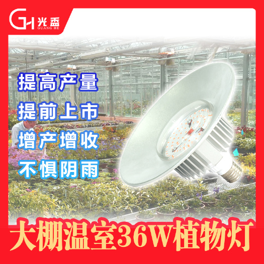 东营光盉GHFX36W葡萄甜瓜温室生长全光谱LED植物补光灯工厂