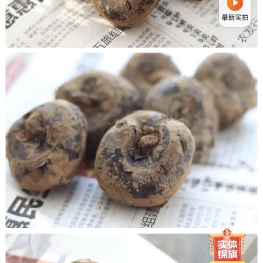 沙洋县湖北荆门毛李马蹄荸荠