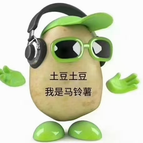 张北县土豆种子 筛选