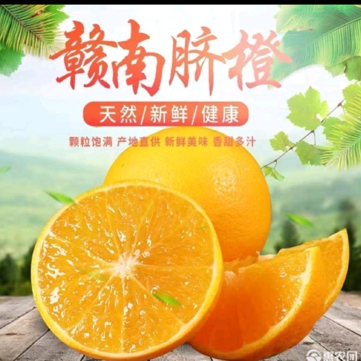 信丰县赣南脐橙-信丰