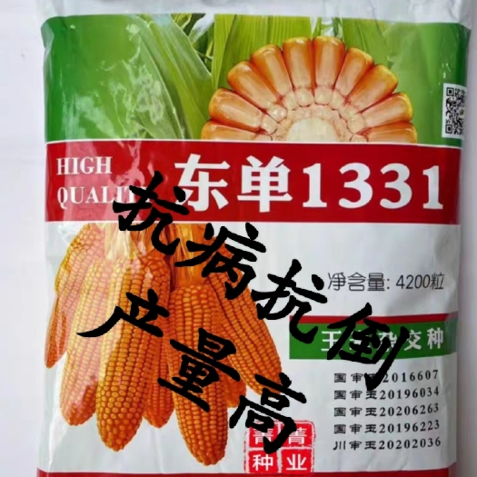 邹城市东单1331，国审中熟品种，抗病抗倒。抗逆性好。