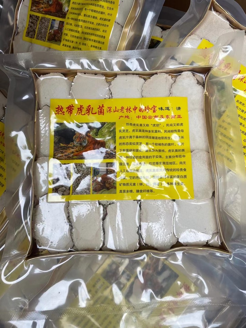 广州虎奶菌奶菌片虎奶菇野生煲汤虎奶菌野生虎奶菌